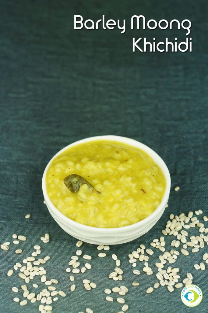 BARLEY MOONG KHICHDI for Babies, Toddlers, Kids & Family Protein rich 6-8 months baby food