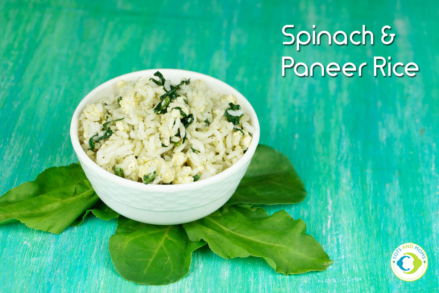 SPINACH PANEER RICE for Toddlers, Kids & Family benefits