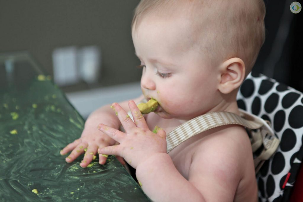 Independant eating with baby led waening