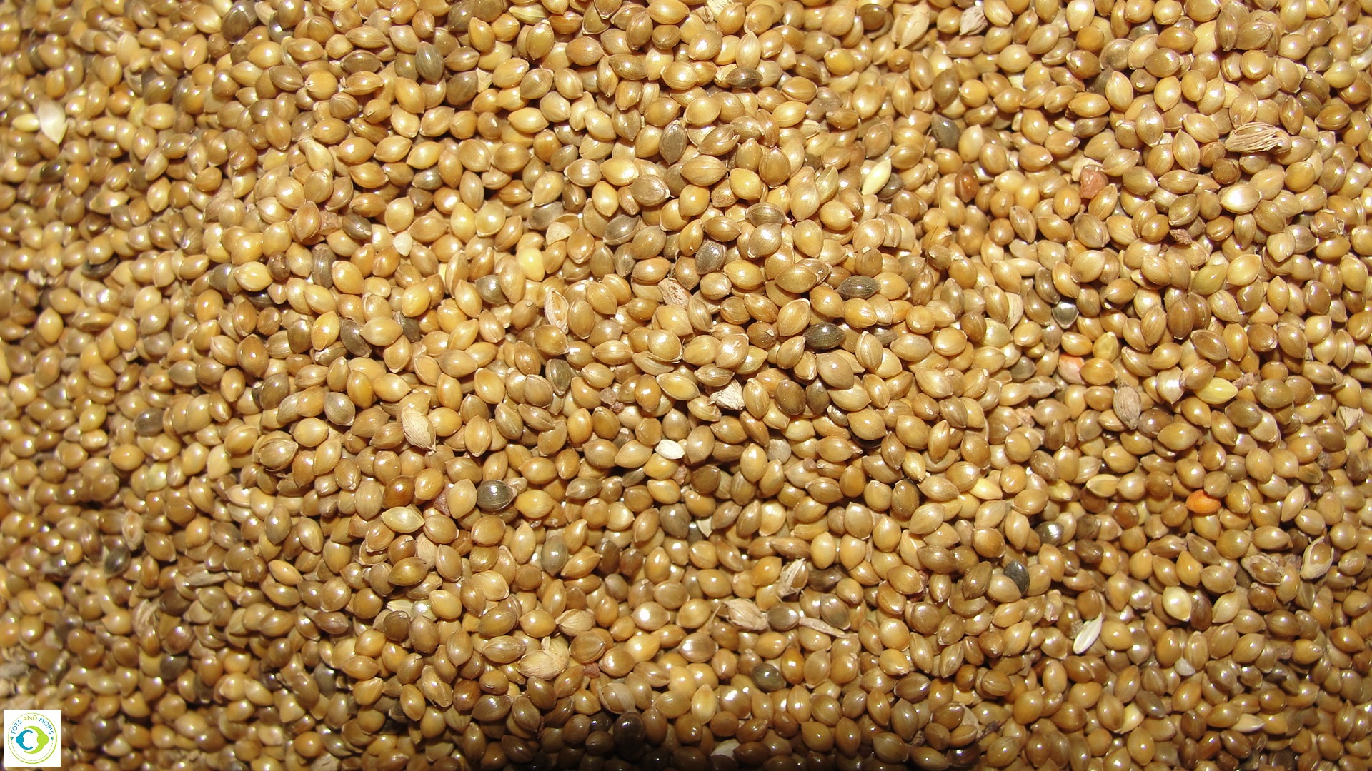 Millet for Diabetes 