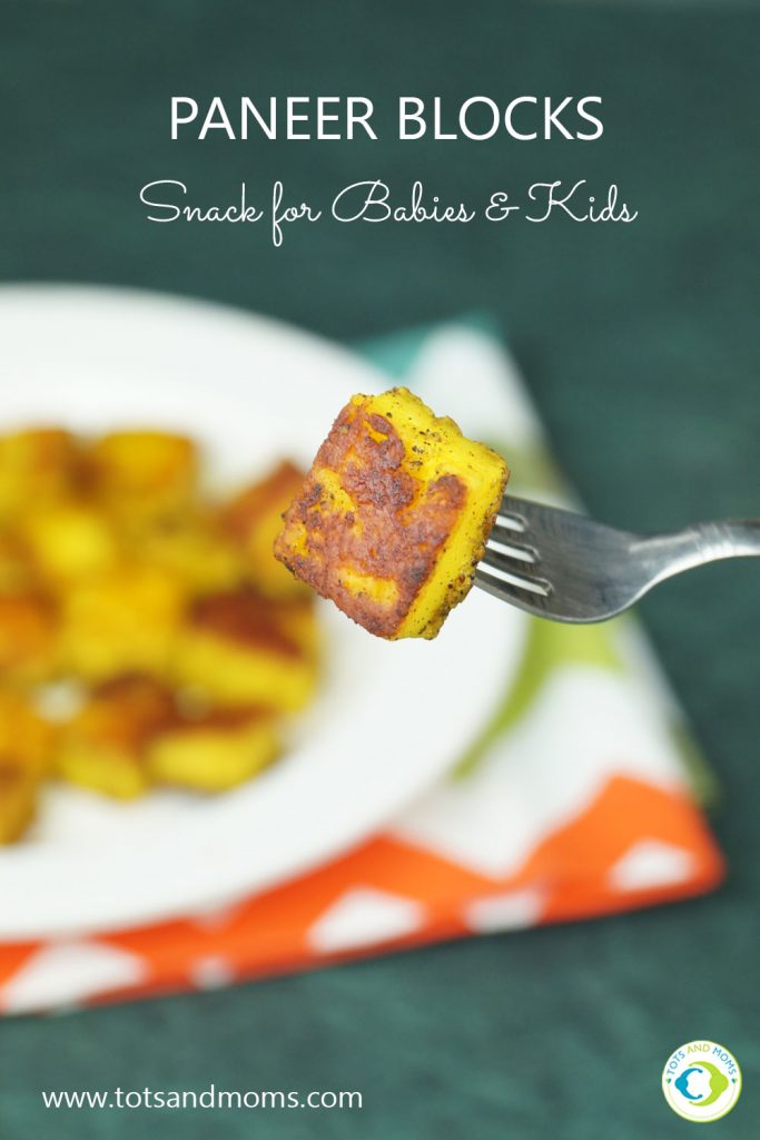 Paneer Blocks for Babies, Toddlers, Kids & Family