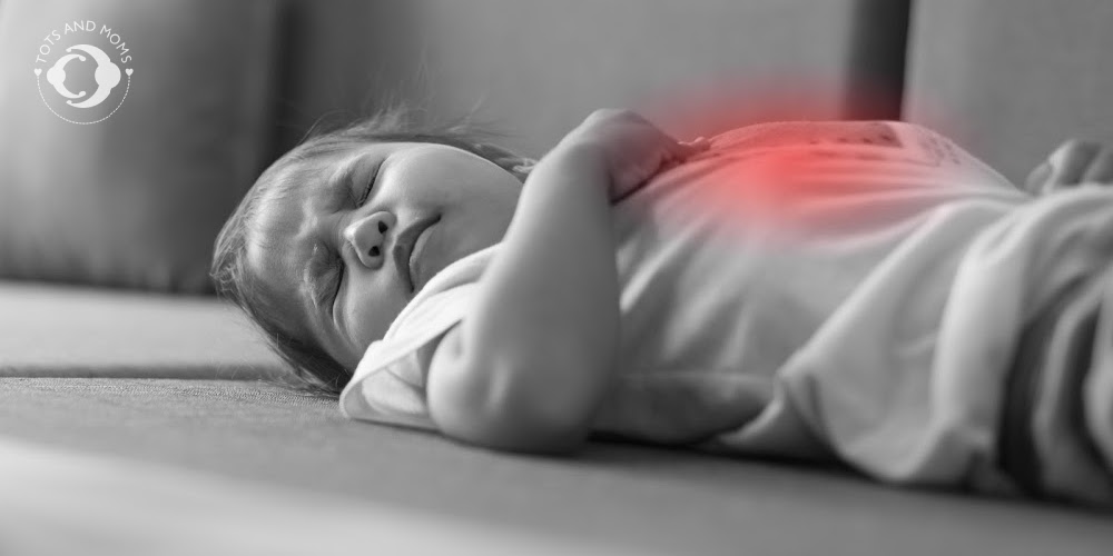 Food Poisoning in Babies Food Poisoning in Kids Causes of Food Poisoning Symptoms of Food Poisoning Remedies for Food Poisoning Treatments for food poisoning bacteria germs in food home cooked food hydration 