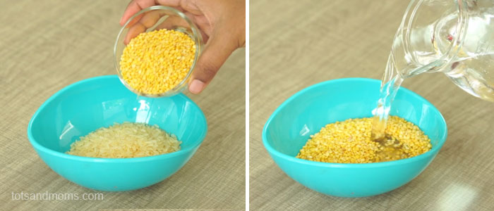 Paneer Masala Khichdi for Babies, Toddlers and Kids Paneer Recipes for babies Khichdi for Babies Homemade Khichdi 8 months baby food benefits of Paneer to babies toddlers and kids
